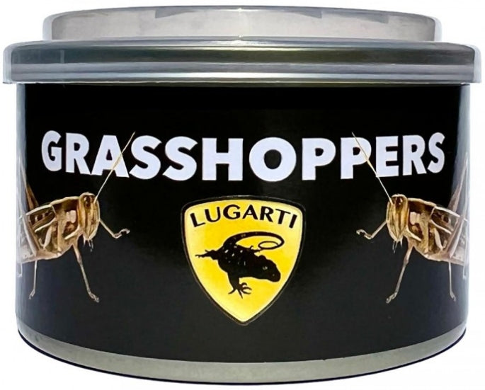 Lugarti Canned Grasshoppers Treat for Insectivores