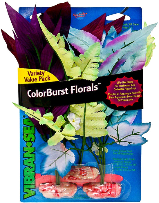 Blue Ribbon Vibran-Sea Color Burst Florals Variety Pack