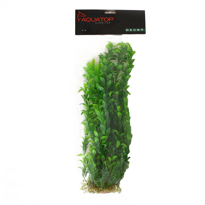 Aquatop Hygro Aquarium Plant Green