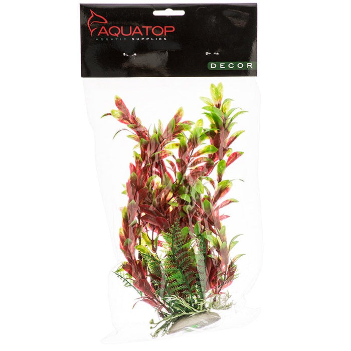 Aquatop Hygro Aquarium Plant Red and Green