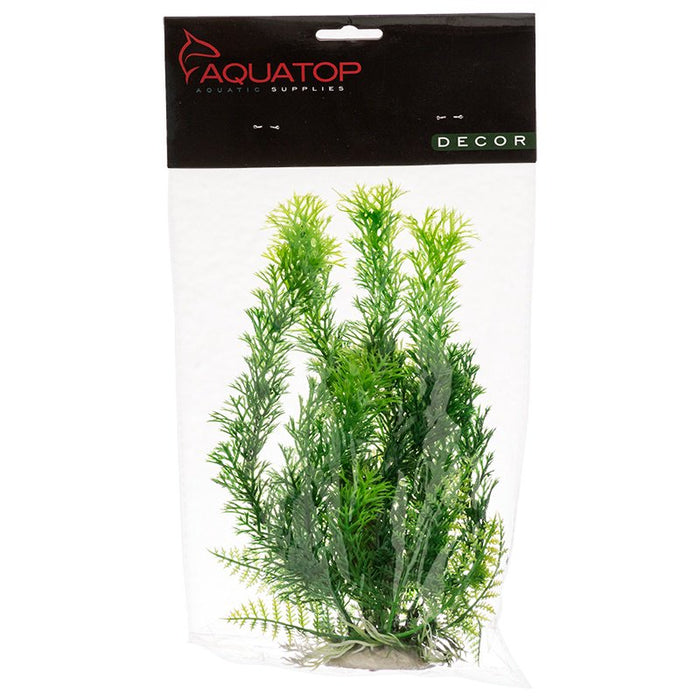 Aquatop Cabomba Aquarium Plant Green