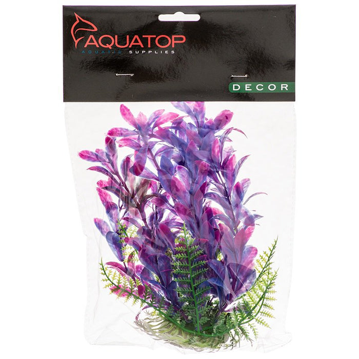 Aquatop Hygro Aquarium Plant Pink and Purple