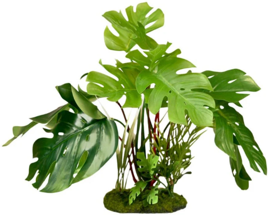 Blue Ribbon Vibran-Sea Tropical Gardens Split Green Leaf Philodendron