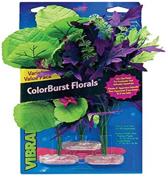 Blue Ribbon Vibran-Sea Color Burst Florals Amazon Flowering Cluster Pack