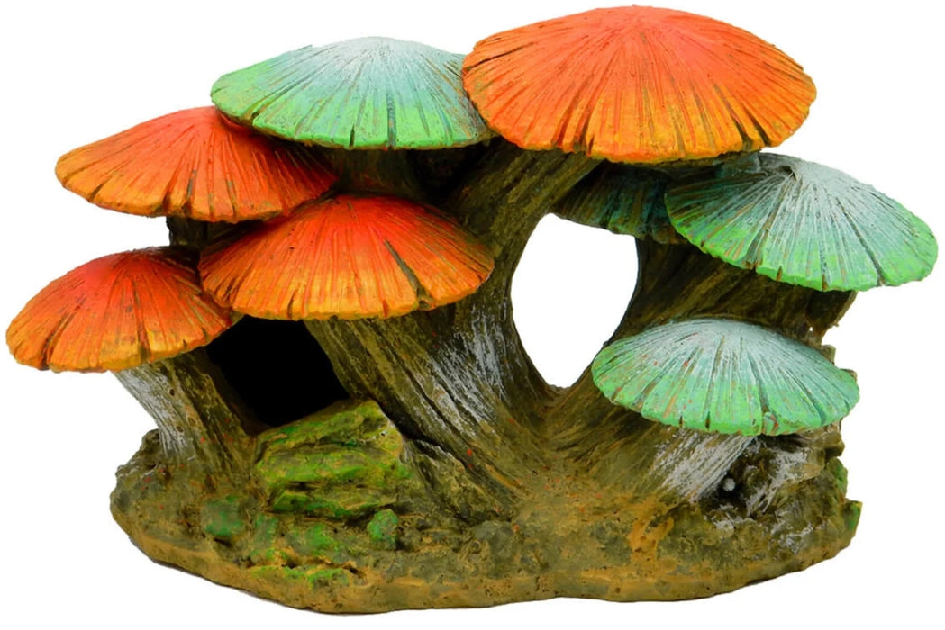 Blue Ribbon Exotic Environments Short Mushroom Garden