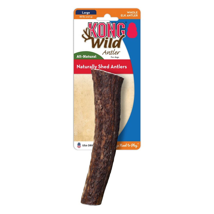 KONG Wild Whole Elk Antler for Dogs Large