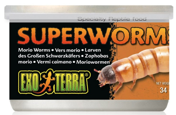 Exo Terra Canned Superworms Specialty Reptile Food