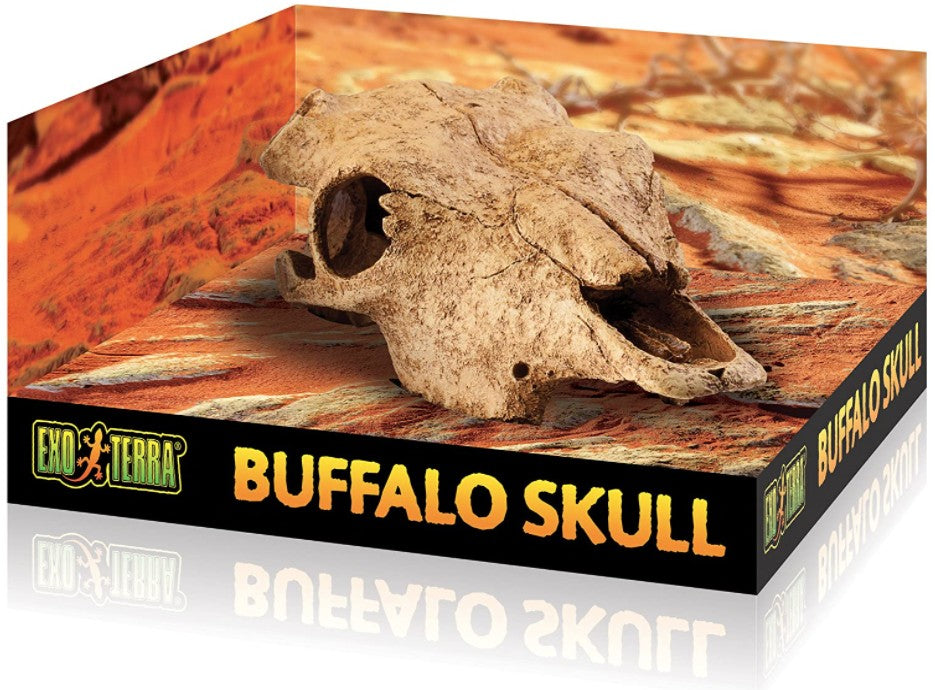 Exo Terra Terrarium Buffalo Skull Decoration