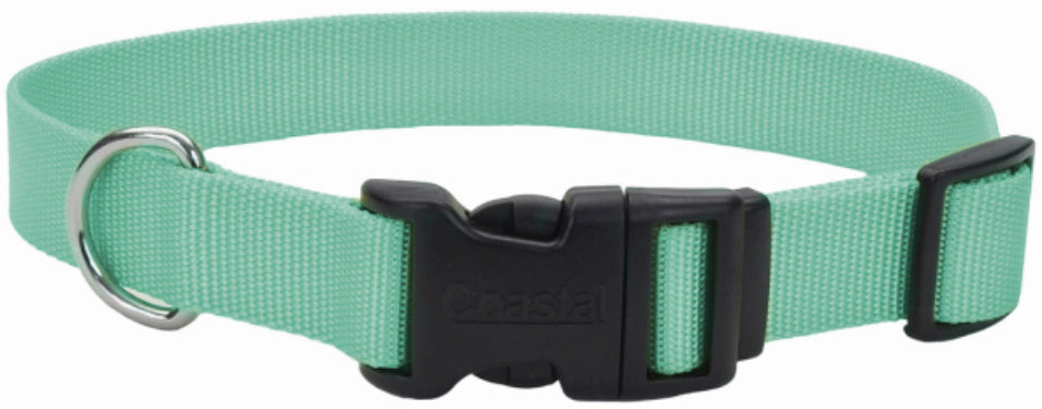 Coastal Pet Teal Nylon Tuff Dog Collar with Plastic Buckle